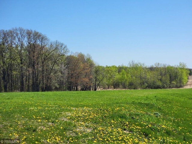 view of green lawn with a forest view