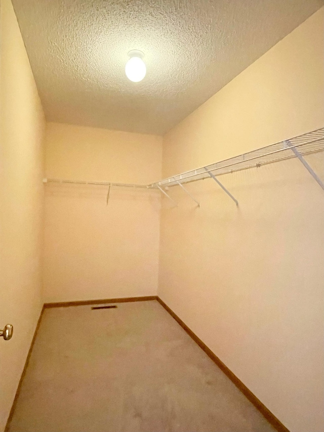 1986 Mathias Rd, Shakopee, MN 55379 - walk in closet with carpet floors