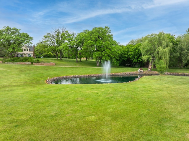 12235 323rd St, Princeton, MN 55371 - view of home's community featuring a water view and a yard