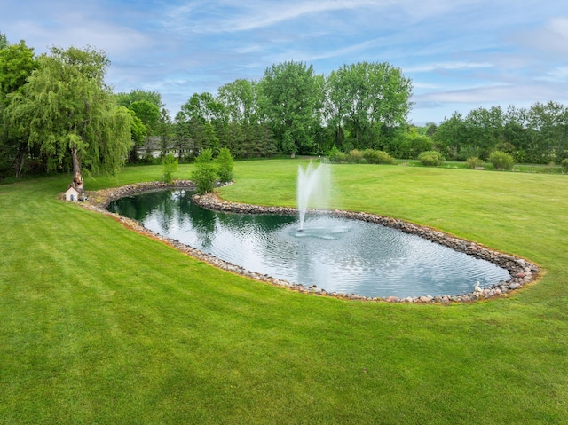12235 323rd St, Princeton, MN 55371 - water view with a tree filled landscape