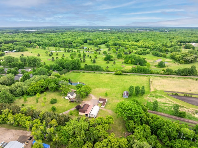 12235 323rd St, Princeton, MN 55371 - bird's eye view of a forest