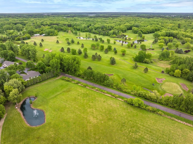 12235 323rd St, Princeton, MN 55371 - bird's eye view of a nearby body of water and a forest