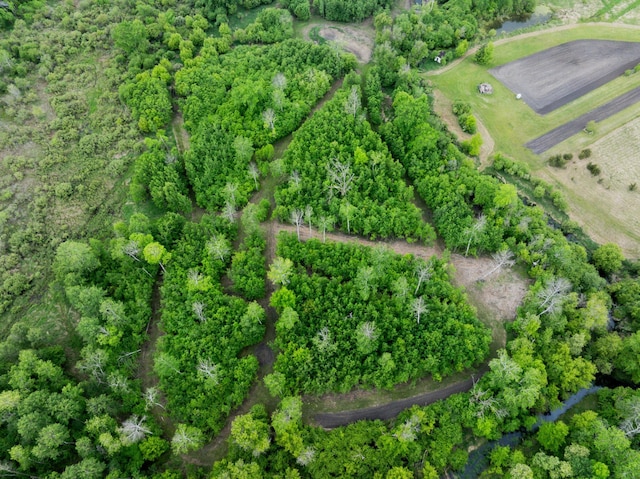 12235 323rd St, Princeton, MN 55371 - aerial view of property's location