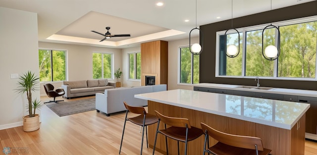 602 Sheyenne St, Horace, ND 58047 - kitchen featuring a sink, light wood-type flooring, a breakfast bar area, a large fireplace, and a raised ceiling