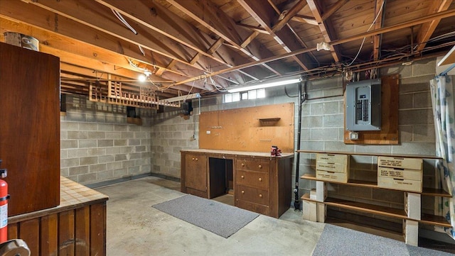 below grade area featuring electric panel