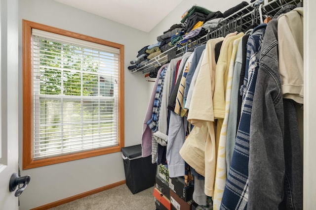 17208 72nd Ave N, Maple Grove, MN 55311 - spacious closet with carpet floors