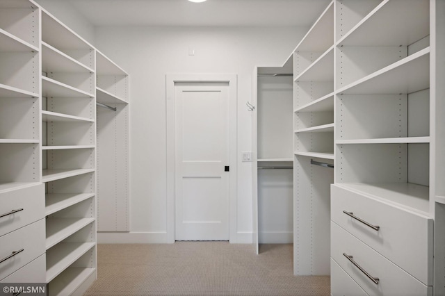 13708 Park Haven Trl, Prior Lake, MN 55372 - spacious closet featuring light colored carpet