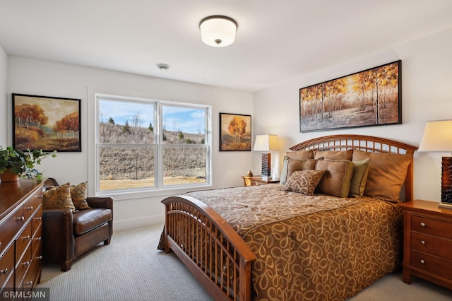 13708 Park Haven Trl, Prior Lake, MN 55372 - view of carpeted bedroom