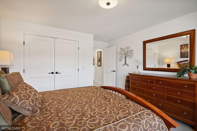 13708 Park Haven Trl, Prior Lake, MN 55372 - bedroom with a closet