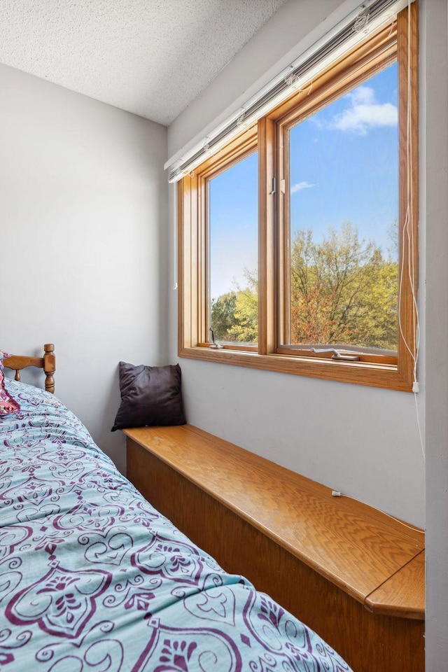 bedroom featuring a textured ceiling