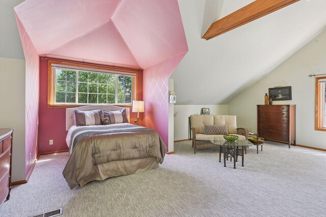 436 Penn Ave S, Minneapolis, MN 55405 - photo 19
