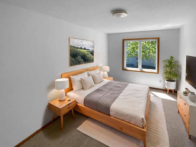 4984 Park Dr, Savage, MN 55378 - bedroom featuring carpet floors and baseboards