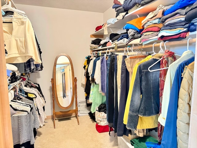766 County Road F E, Vadnais Heights, MN 55127 - spacious closet featuring carpet floors