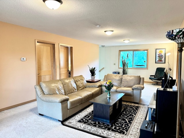766 County Road F E, Vadnais Heights, MN 55127 - living room with a textured ceiling, carpet floors, and baseboards