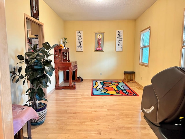 766 County Road F E, Vadnais Heights, MN 55127 - sitting room with wood finished floors, a textured ceiling, and baseboards