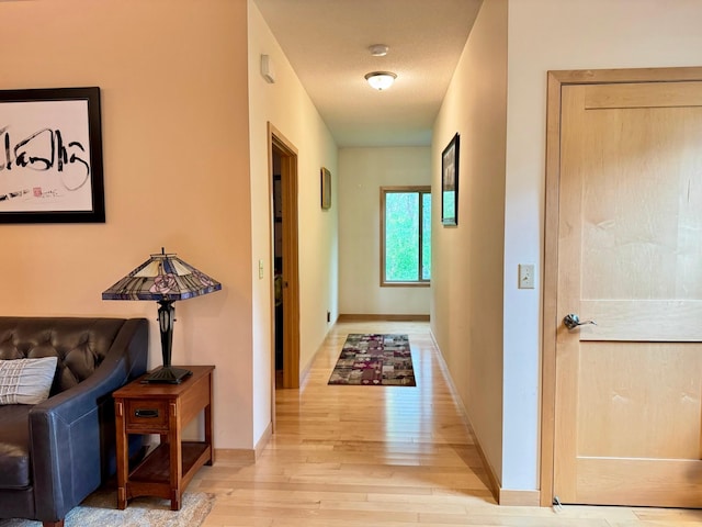 766 County Road F E, Vadnais Heights, MN 55127 - hall with light wood finished floors and baseboards