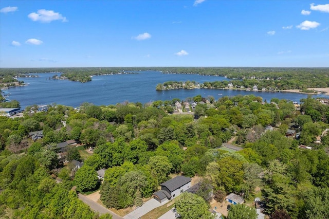 3822 Northern Ave, Spring Park, MN 55384 - aerial view of property and surrounding area with a nearby body of water and a heavily wooded area
