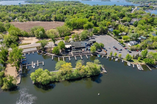 3822 Northern Ave, Spring Park, MN 55384 - drone / aerial view of a large body of water
