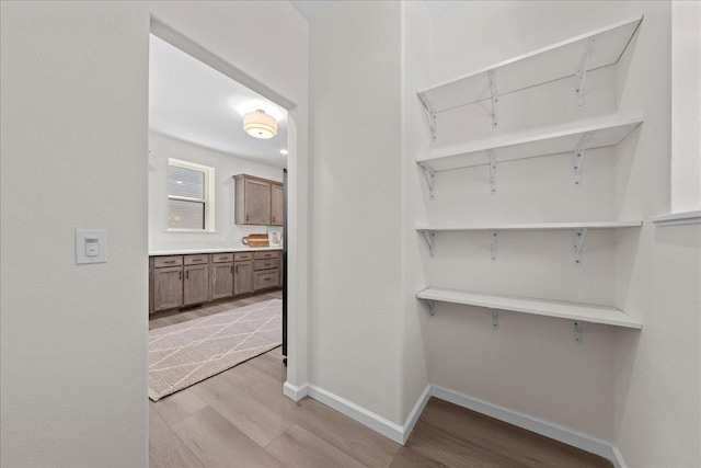3822 Northern Ave, Spring Park, MN 55384 - view of pantry