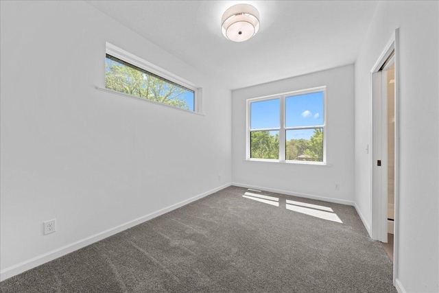 3822 Northern Ave, Spring Park, MN 55384 - empty room with healthy amount of natural light, carpet flooring, and baseboards