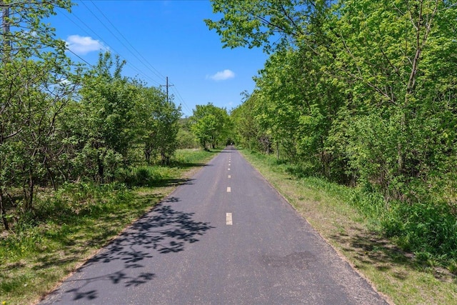 3822 Northern Ave, Spring Park, MN 55384 - view of asphalt street