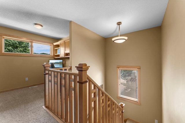 6263 Shadow Lake Dr, Lino Lakes, MN 55014 - photo 25