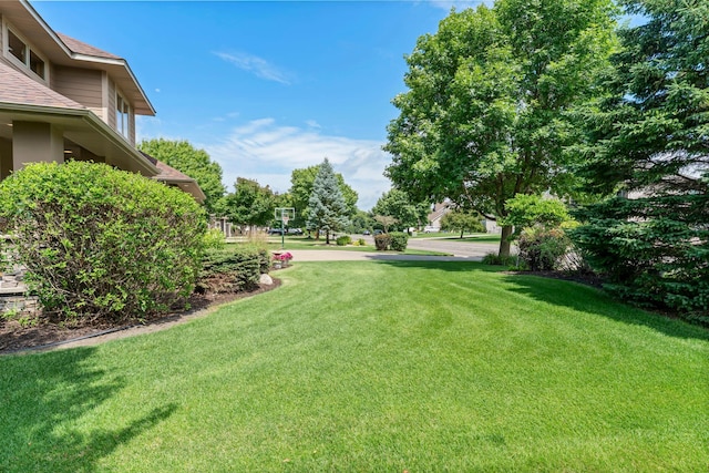 6263 Shadow Lake Dr, Lino Lakes, MN 55014 - photo 56