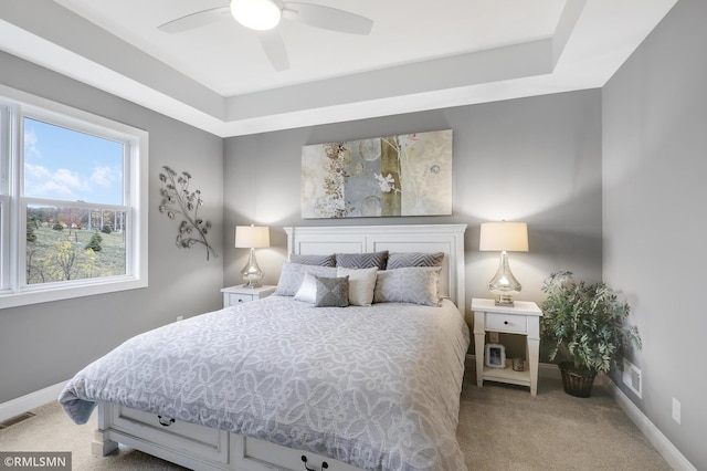 13714 Park Haven Trl NE, Prior Lake, MN 55372 - bedroom with carpet flooring, baseboards, ceiling fan, and a tray ceiling