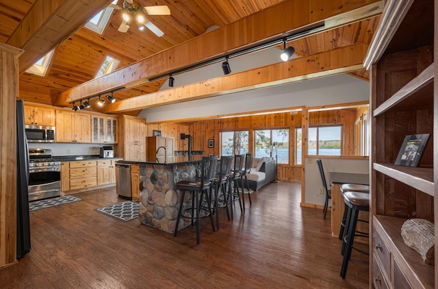 19490 Ruff Shores Rd, Harris Twp, MN 55744 - kitchen with appliances with stainless steel finishes, rail lighting, dark countertops, a kitchen breakfast bar, and a skylight