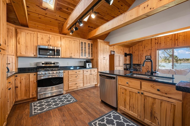 19490 Ruff Shores Rd, Harris Twp, MN 55744 - kitchen with stainless steel appliances, rail lighting, a sink, wood ceiling, and a skylight