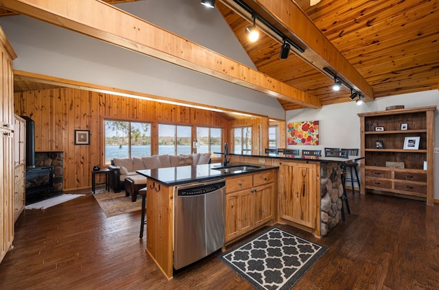19490 Ruff Shores Rd, Harris Twp, MN 55744 - kitchen featuring rail lighting, dishwasher, a sink, open floor plan, and lofted ceiling