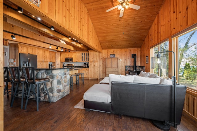 19490 Ruff Shores Rd, Harris Twp, MN 55744 - living area featuring a ceiling fan, wood walls, rail lighting, a wood stove, and dark wood-style flooring