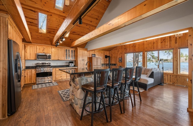 19490 Ruff Shores Rd, Harris Twp, MN 55744 - kitchen featuring appliances with stainless steel finishes, track lighting, dark countertops, dark wood finished floors, and a breakfast bar