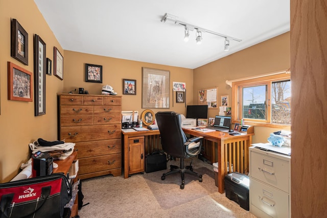 19490 Ruff Shores Rd, Harris Twp, MN 55744 - office area with light carpet and rail lighting