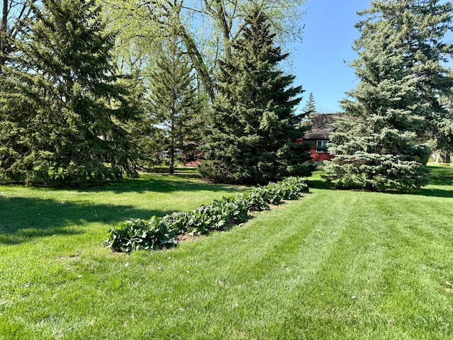 2101 19th Ave SW, Willmar, MN 56201 - photo 15