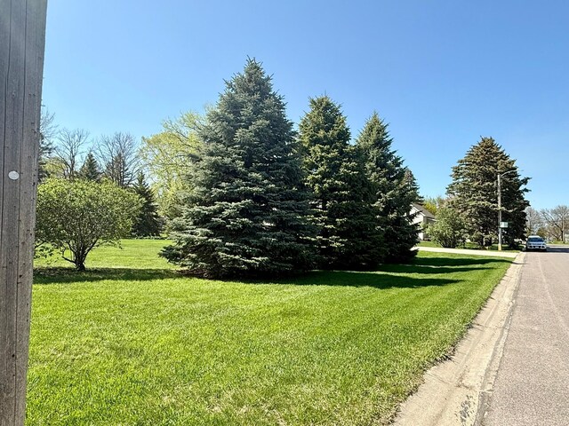 2101 19th Ave SW, Willmar, MN 56201 - photo 18