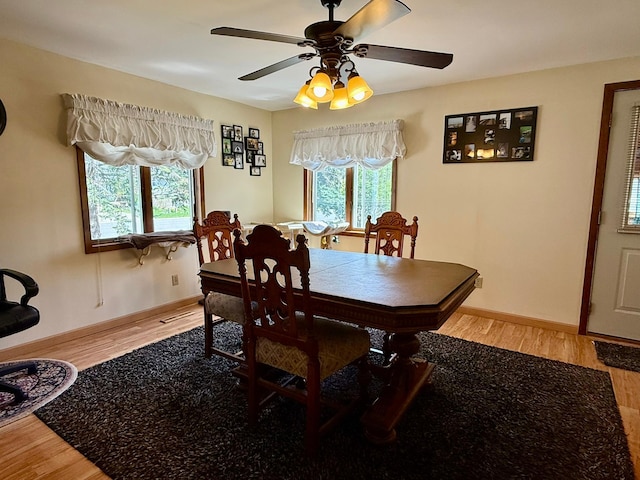 2101 19th Ave SW, Willmar, MN 56201 - photo 24