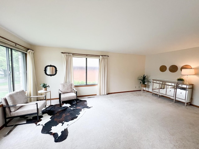 1950 Summit Ave, Worthington, MN 56187 - living area featuring carpet floors and baseboards