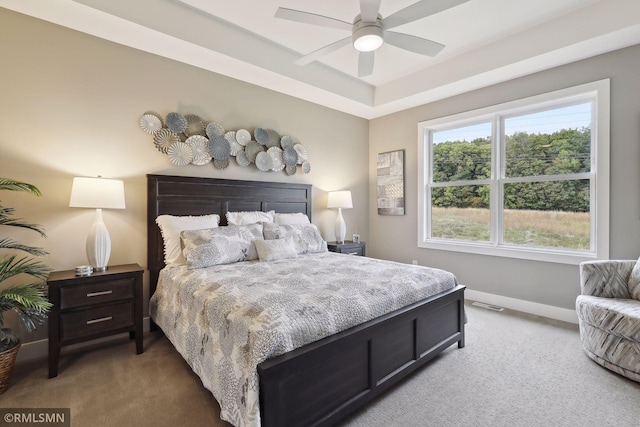 4104 Osprey Ct, Prior Lake, MN 55372 - bedroom with carpet, baseboards, a tray ceiling, and a ceiling fan