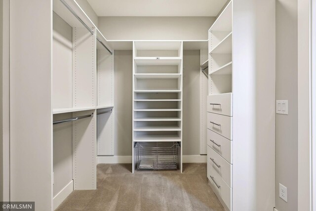 4104 Osprey Ct, Prior Lake, MN 55372 - walk in closet featuring light carpet
