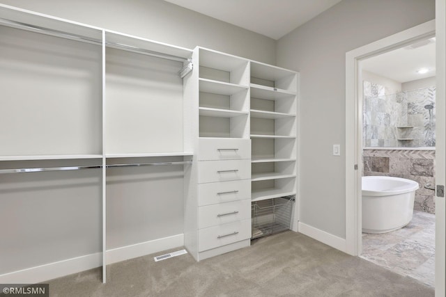 4104 Osprey Ct, Prior Lake, MN 55372 - spacious closet featuring light carpet