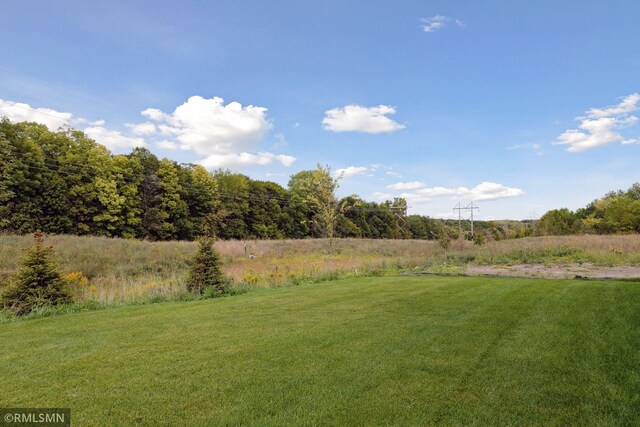 4104 Osprey Ct, Prior Lake, MN 55372 - view of green lawn