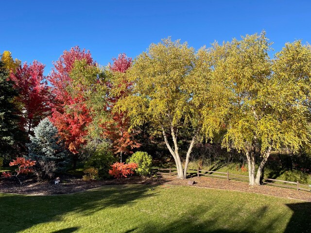 13642 44th St NE, Saint Michael, MN 55376 - view of grassy yard