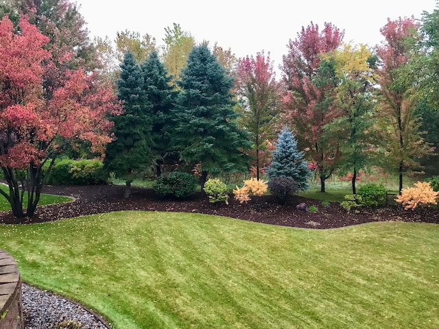 13642 44th St NE, Saint Michael, MN 55376 - view of grassy yard