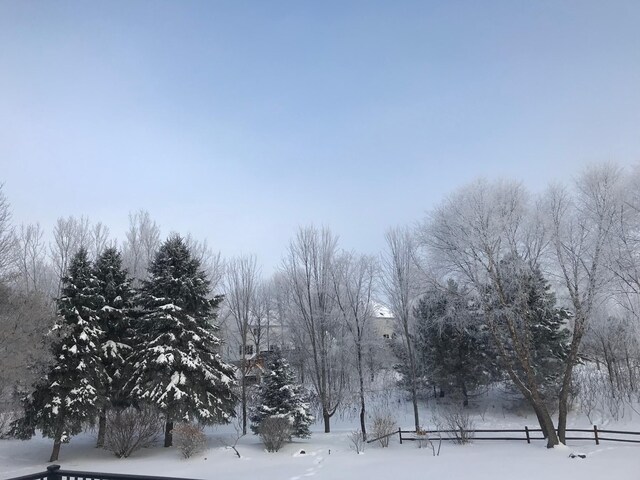 13642 44th St NE, Saint Michael, MN 55376 - view of yard covered in snow