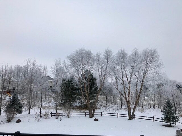 13642 44th St NE, Saint Michael, MN 55376 - view of yard layered in snow