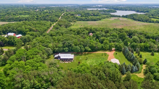 1701 Retreat Cir, Minnetrista, MN 55364 - aerial view of property's location with a forest
