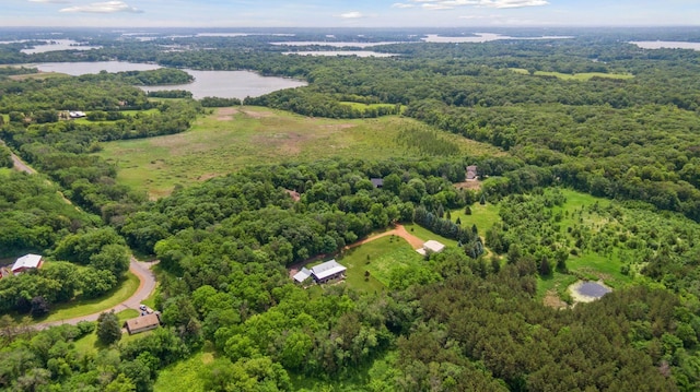 1701 Retreat Cir, Minnetrista, MN 55364 - drone / aerial view of a forest and a large body of water
