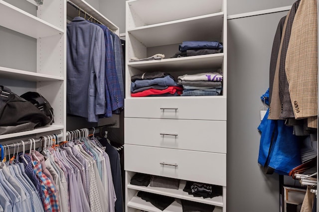 1701 Retreat Cir, Minnetrista, MN 55364 - view of walk in closet