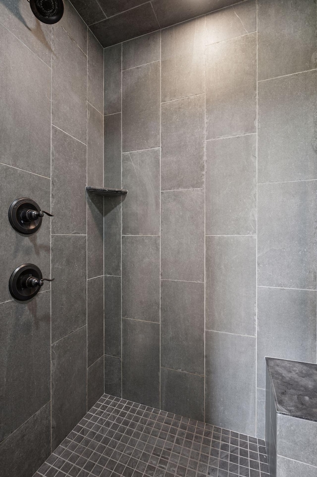 1701 Retreat Cir, Minnetrista, MN 55364 - full bathroom featuring tiled shower